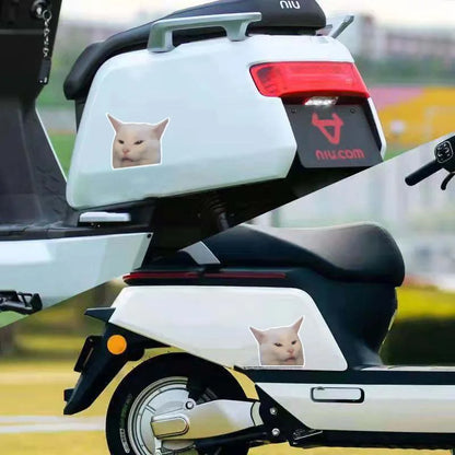 Smudge The Cat Meme Vinyl Sticker For Car