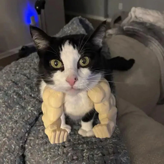 Cat Muscle Arm