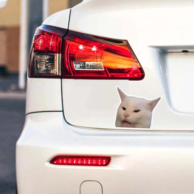 Smudge The Cat Meme Vinyl Sticker For Car